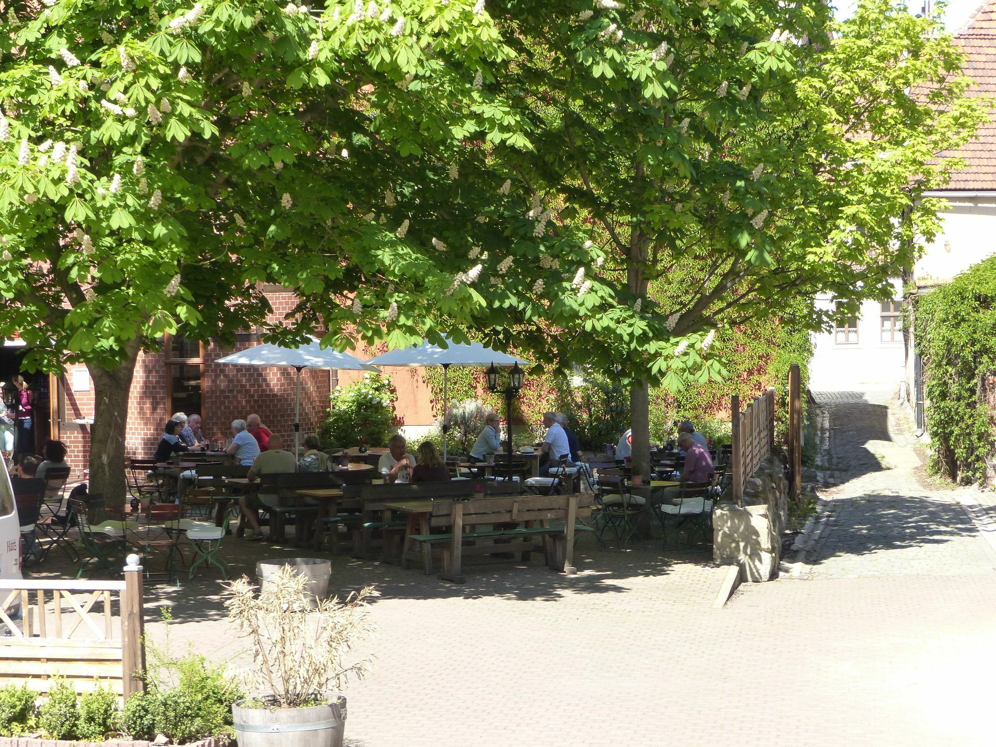 Hotel Zum Brauhaus Quedlinburg Dış mekan fotoğraf